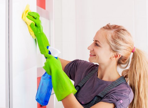 Professional sofa cleaning service for Westminster homes and apartments