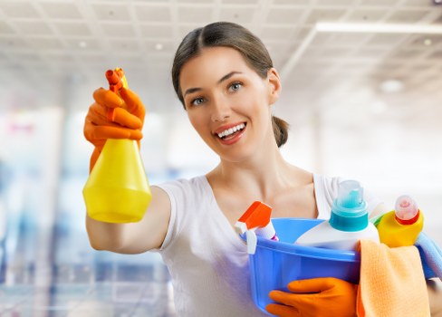Deep cleaning service terms and conditions document