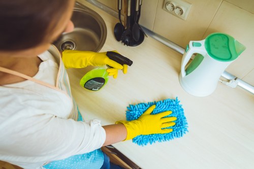 Professional carpet cleaning in a Westminster home living room