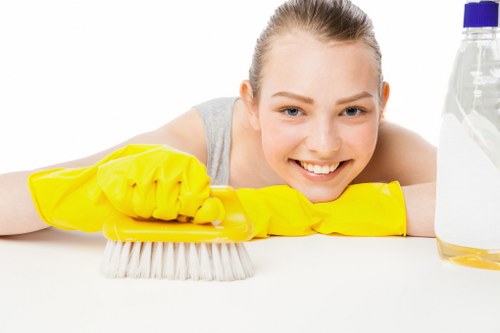 Domestic cleaning service for a Westminster apartment interior