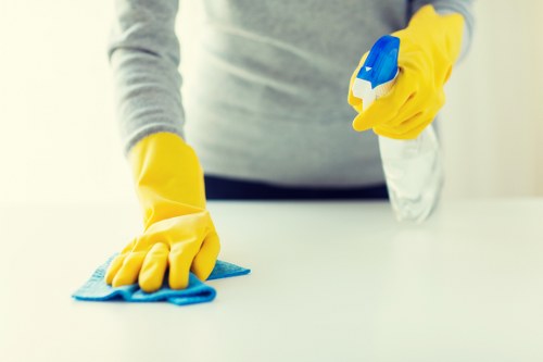 Local cleaner working in a Westminster residential property
