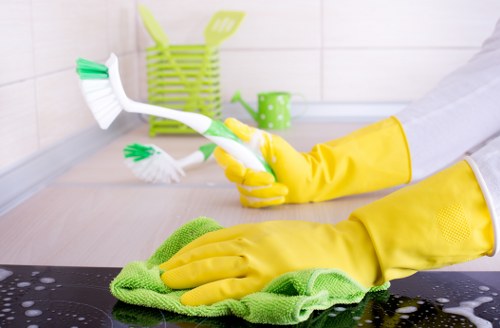 Local Westminster home cleaning service for busy households and managed properties
