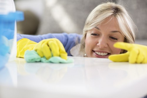 Trusted Deep Cleaning Westminster payments page with Visa, Mastercard, PayPal, and bank transfer