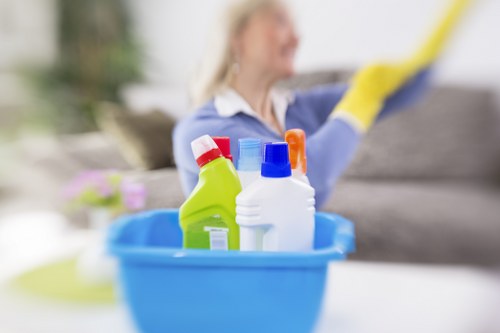 Residential cleaning in a Westminster apartment with modern and period property features