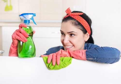 Regular home cleaning service for a shared Westminster property