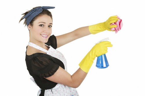 Risk-aware deep cleaning team preparing equipment in a Westminster property
