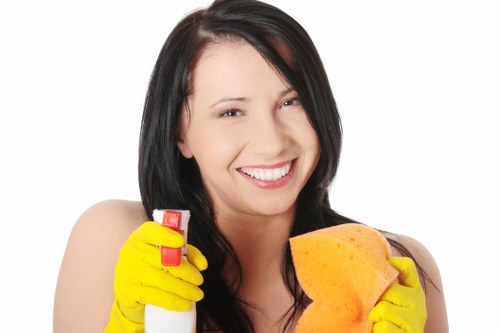 Kitchen deep cleaning service in a Westminster property