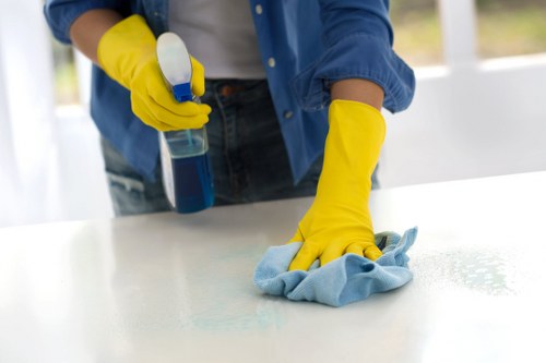 Professional cleaners maintaining a central London office reception area