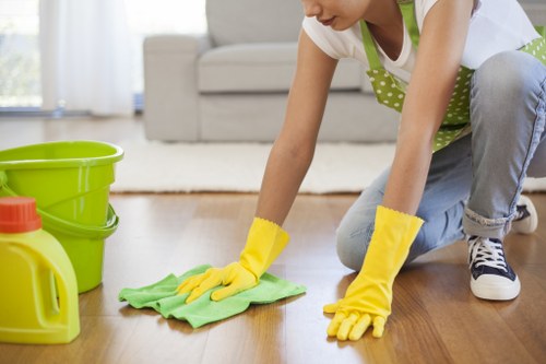 PCI compliant Deep Cleaning Westminster secure checkout interface